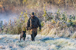 Ermittlung des Wiederbeschaffungswertes eines Jagdhundes