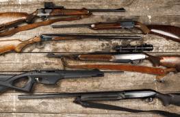 Horten von Langwaffen und Kurzwaffen