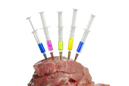 Wilderei - Heimliche Straftaten in heimelichen Wäldern