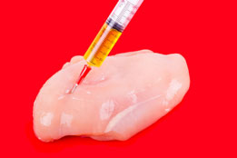 Wilderei - Heimliche Straftaten in heimelichen Wäldern